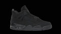 Black cat 4’s 2025
