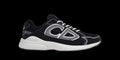 Dior b30
